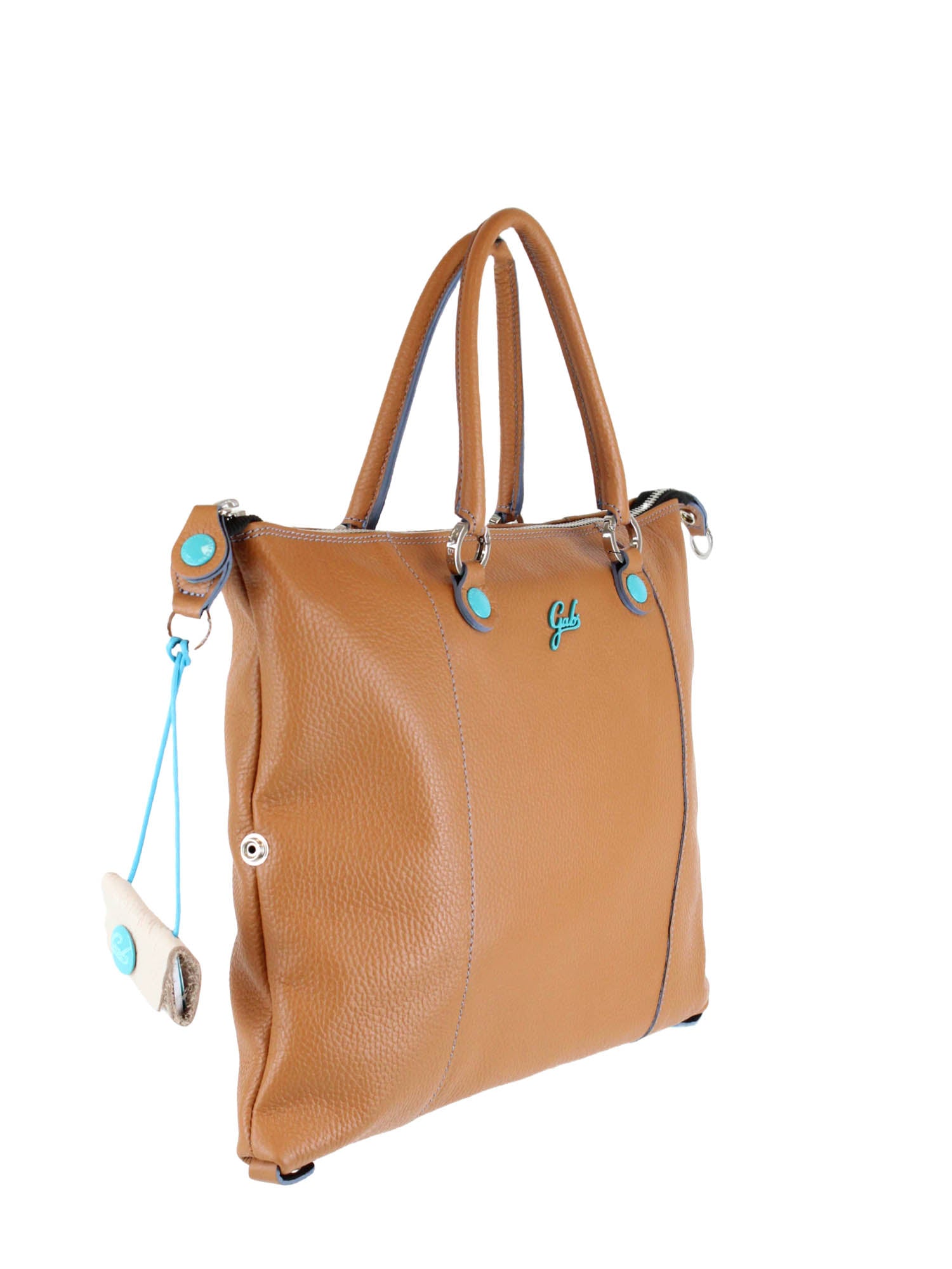 Borse a mano Marrone Gabs