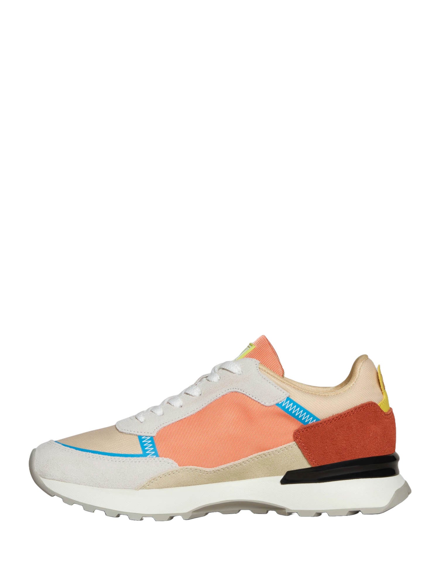 Sneakers Beige Napapijri