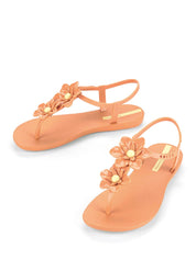 Sandali Marrone Ipanema