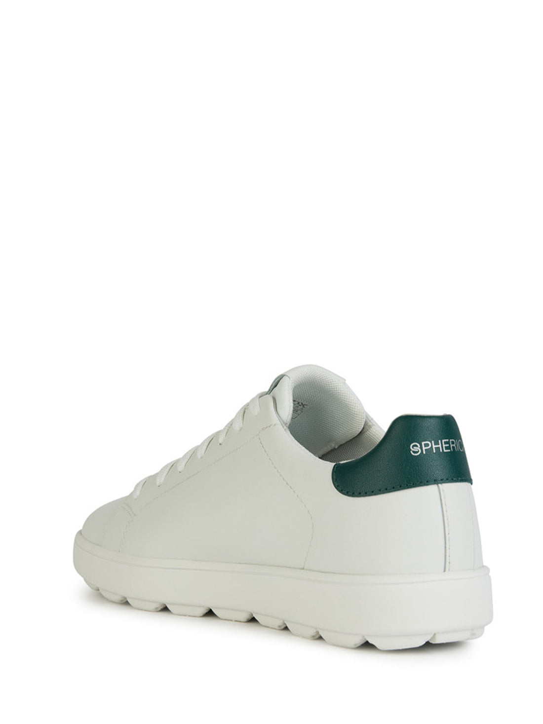 Sneakers Bianco Verde Geox