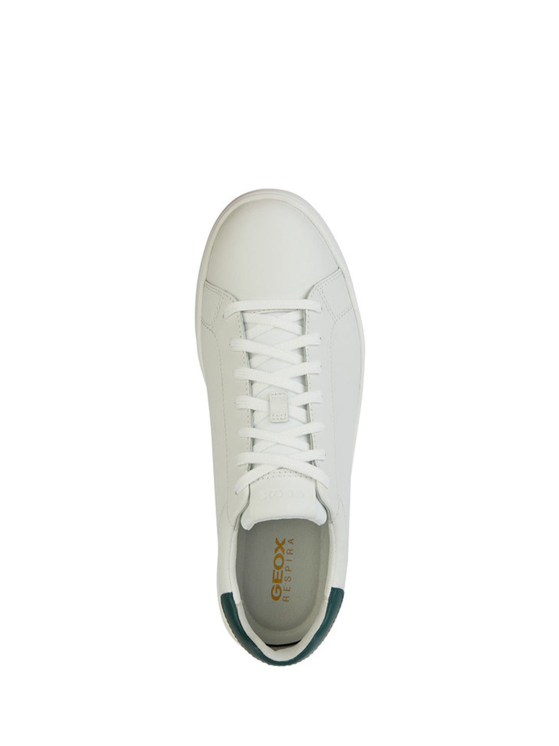 Sneakers Bianco Verde Geox