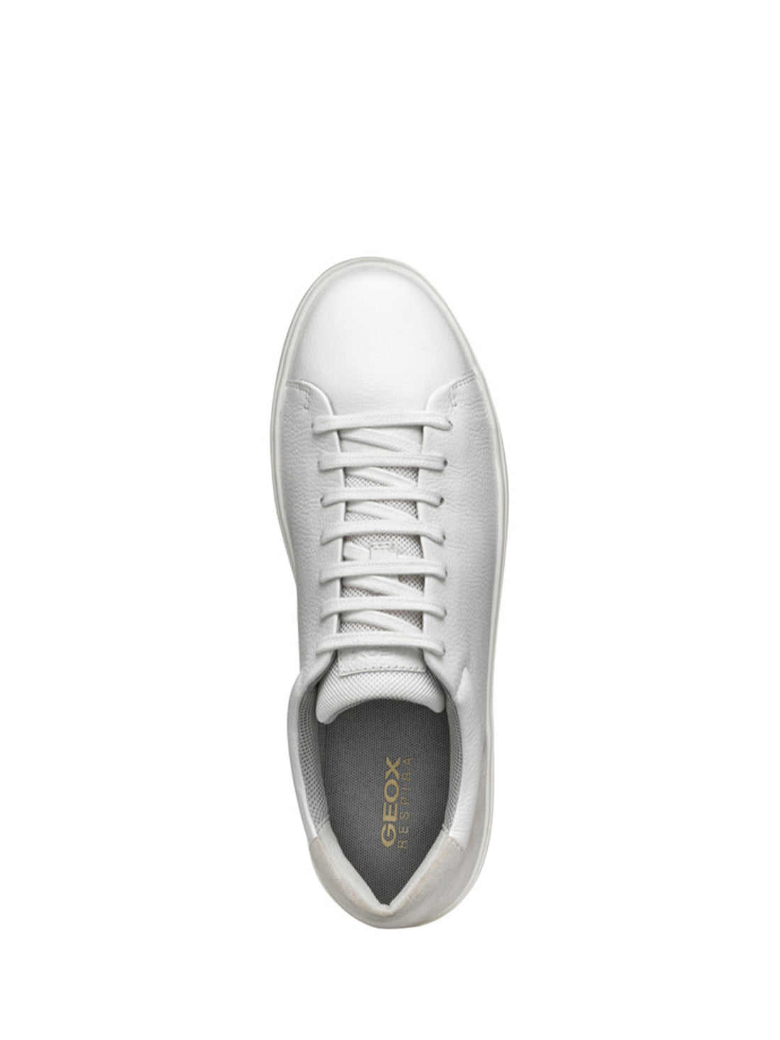 Sneakers Bianco Geox