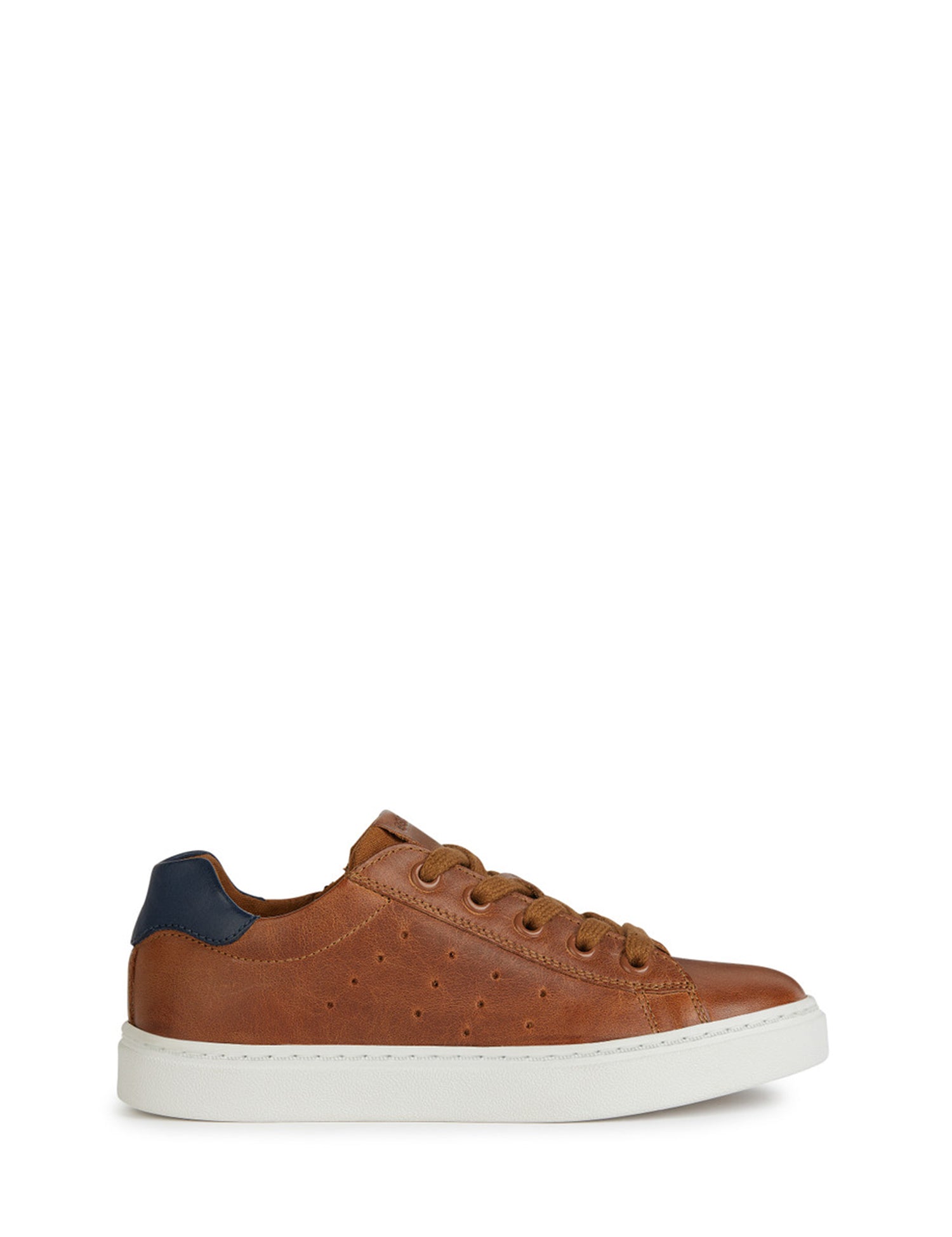Sneakers Marrone Geox