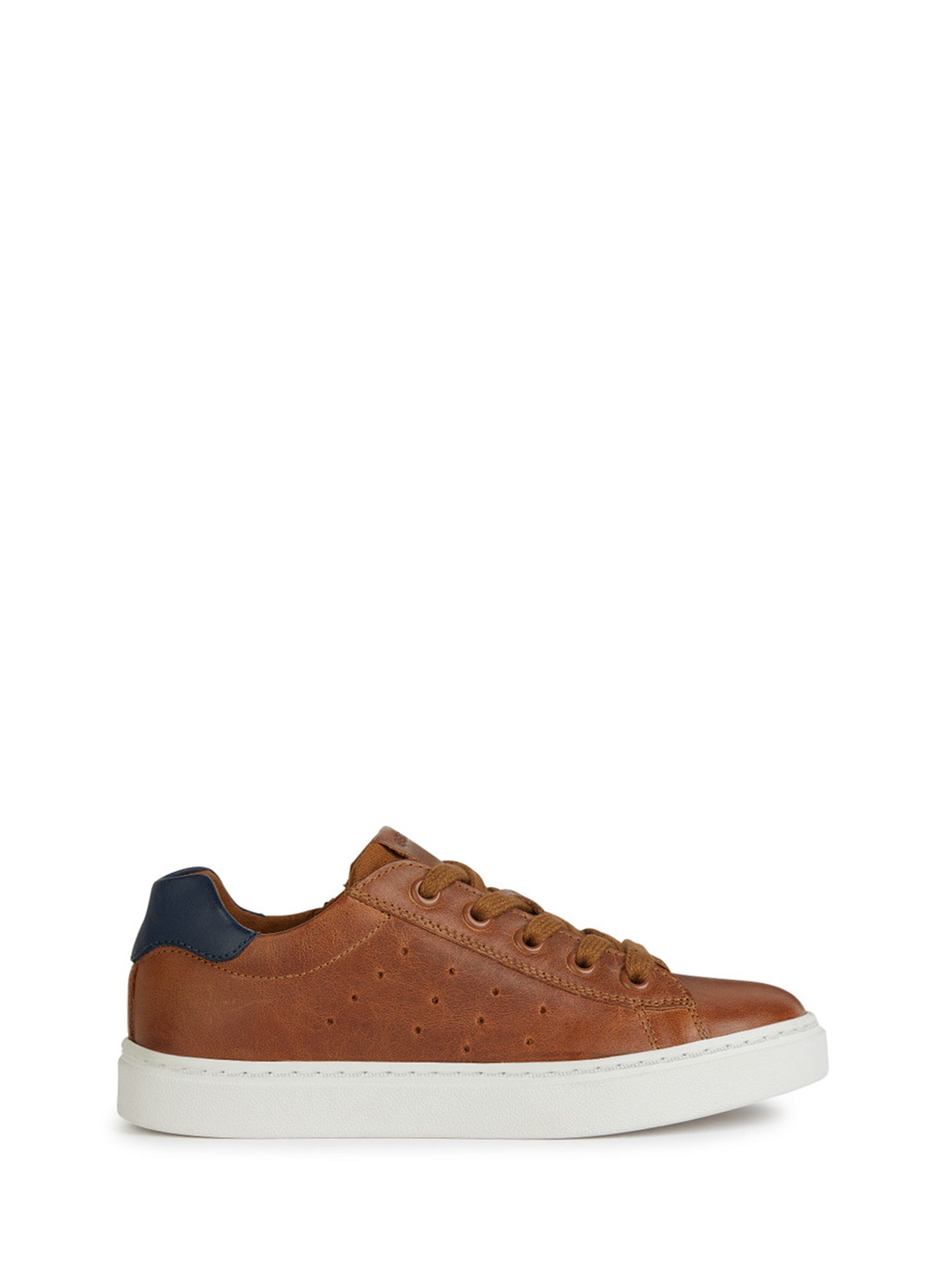 Sneakers Marrone Geox