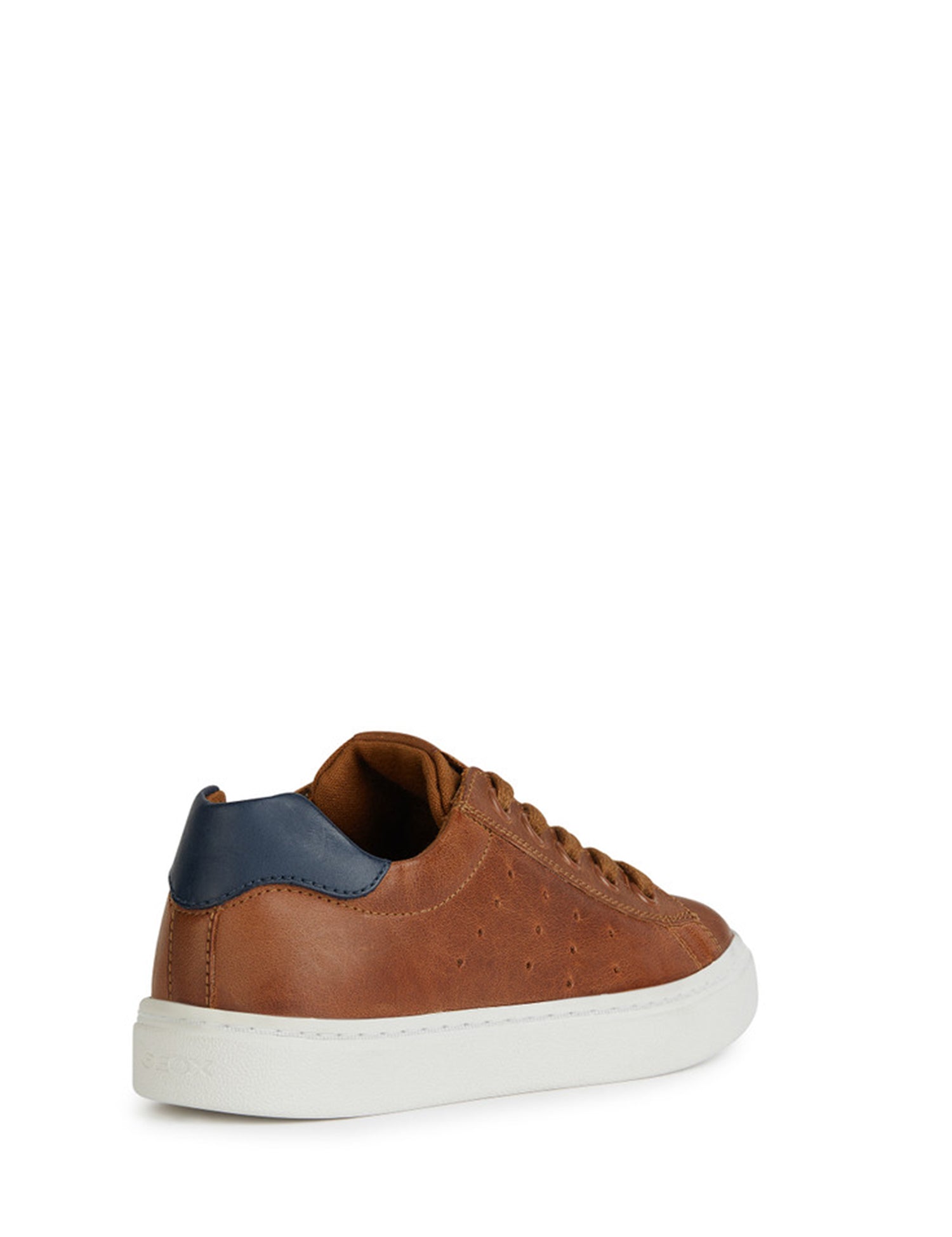 Sneakers Marrone Geox
