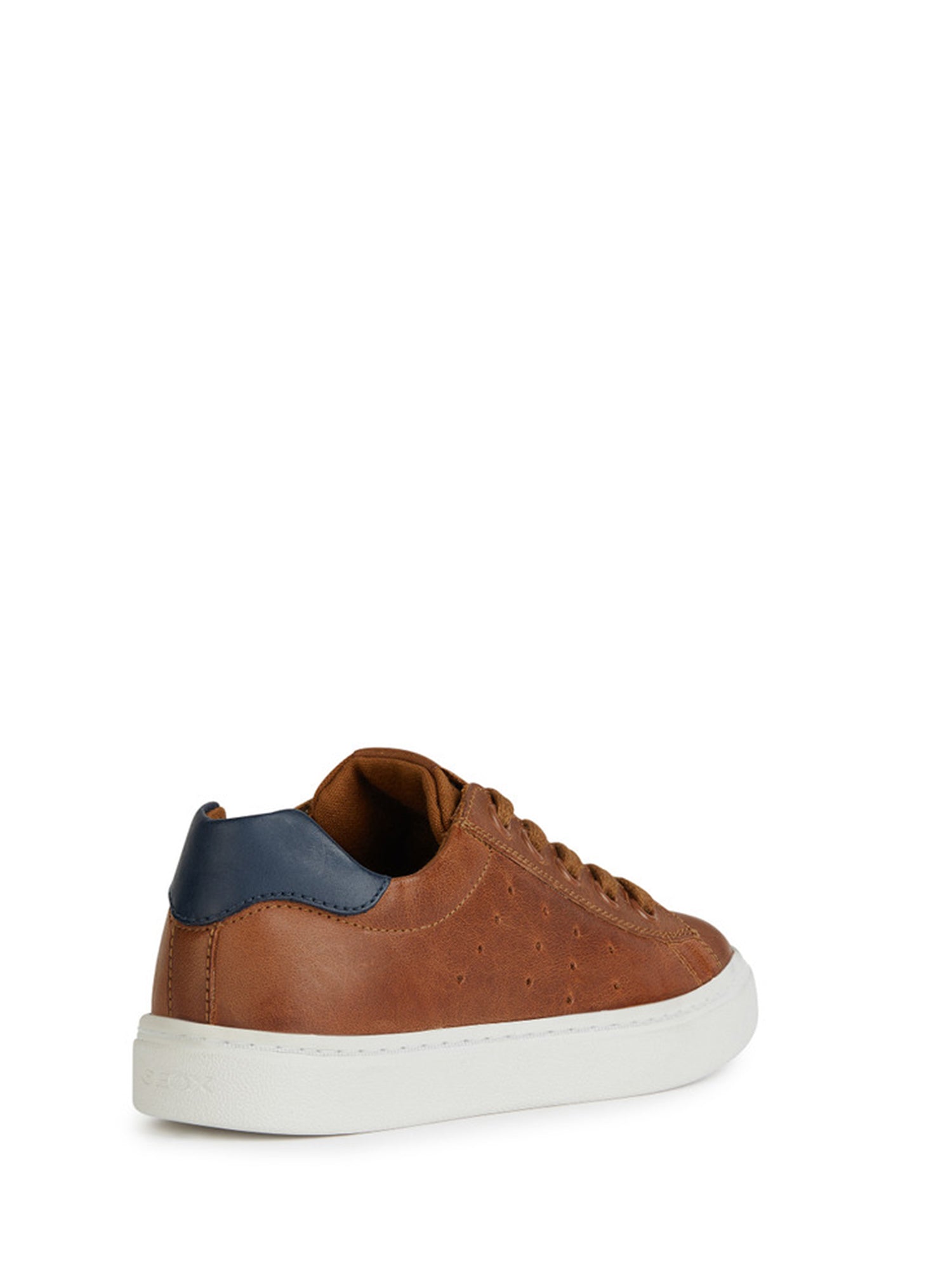 Sneakers Marrone Geox