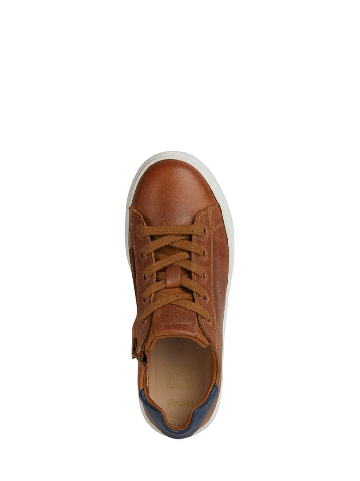 Sneakers Marrone Geox