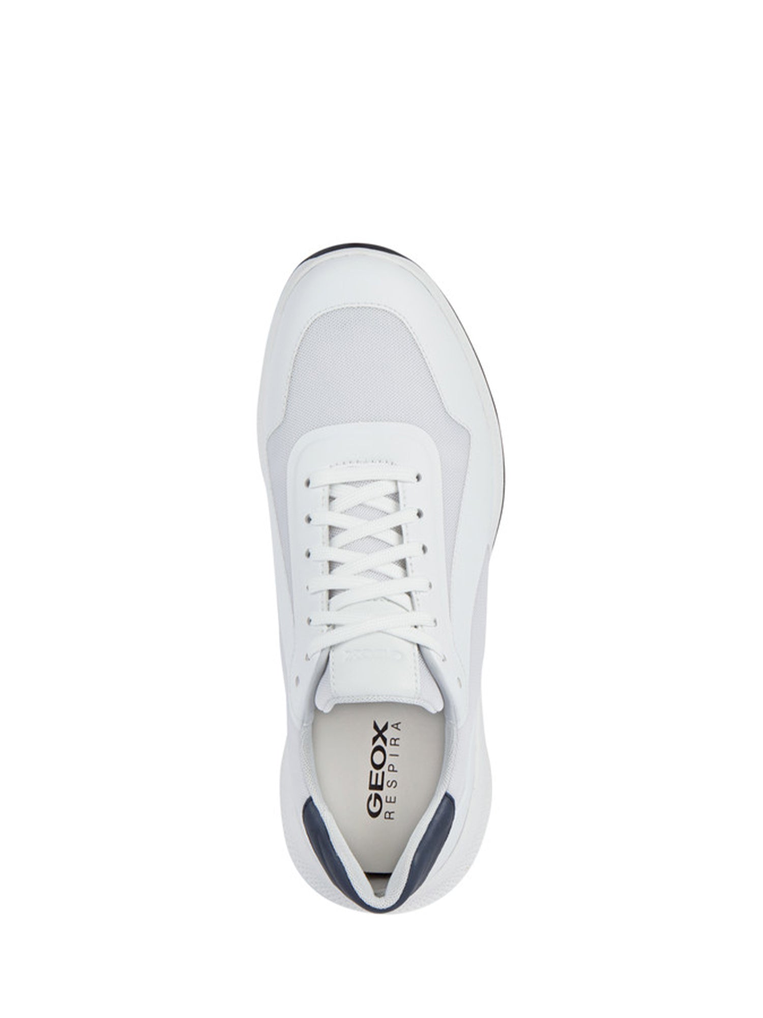 Sneakers Bianco Geox