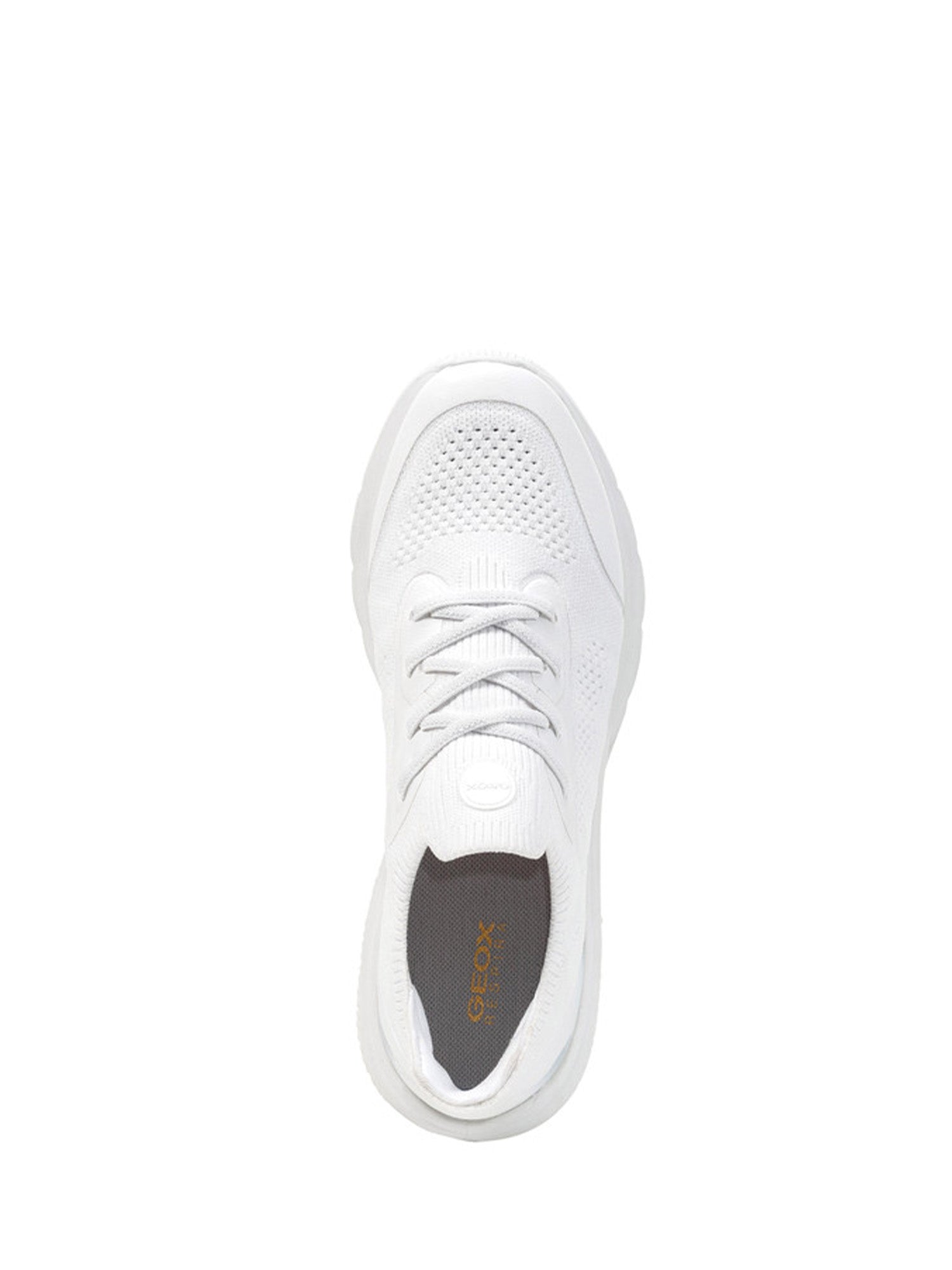 Sneakers Bianco Geox