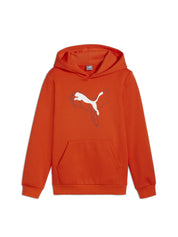 Felpe Arancio Puma