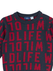 Maglioncini Blu Chicco