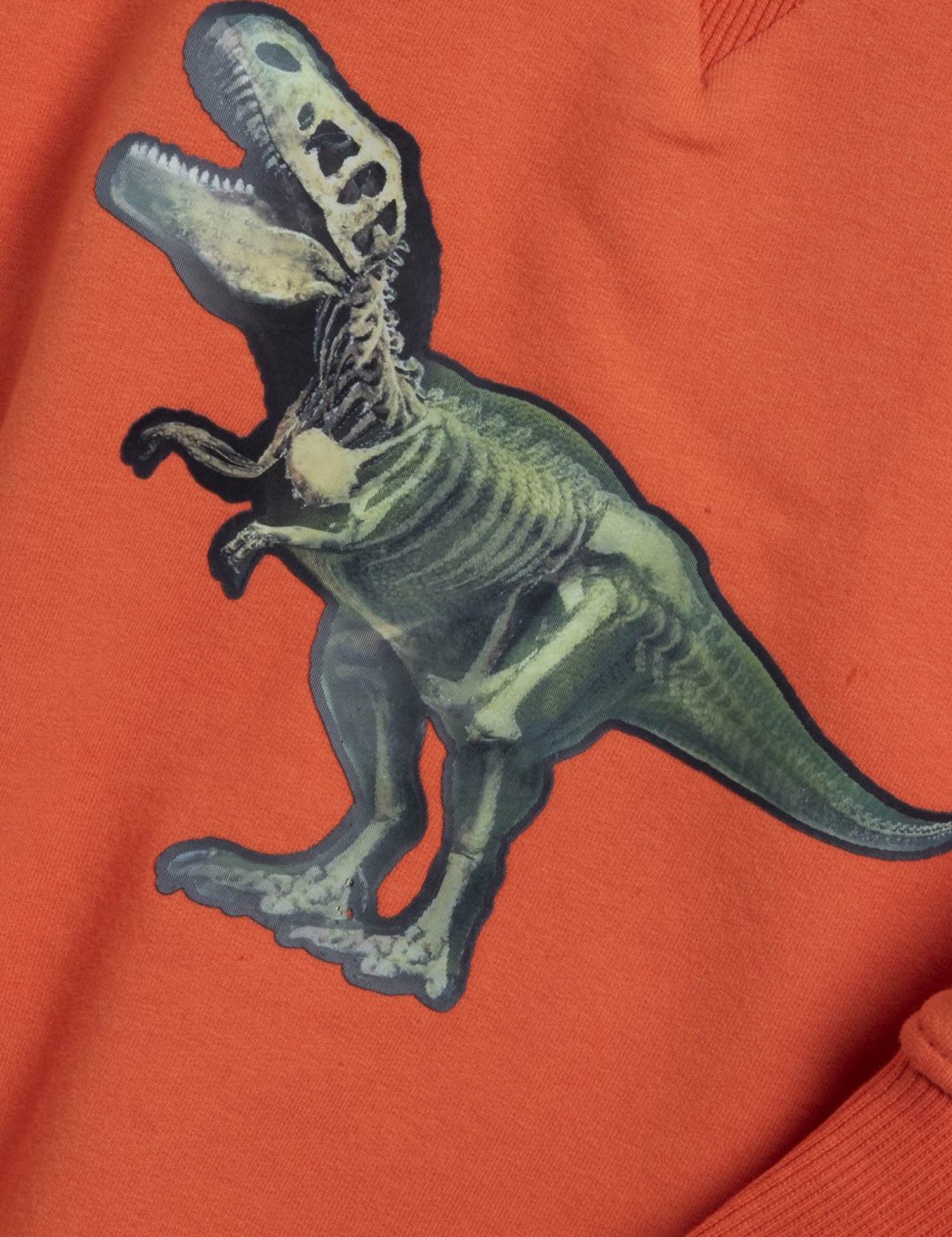 Felpe Arancio Chicco