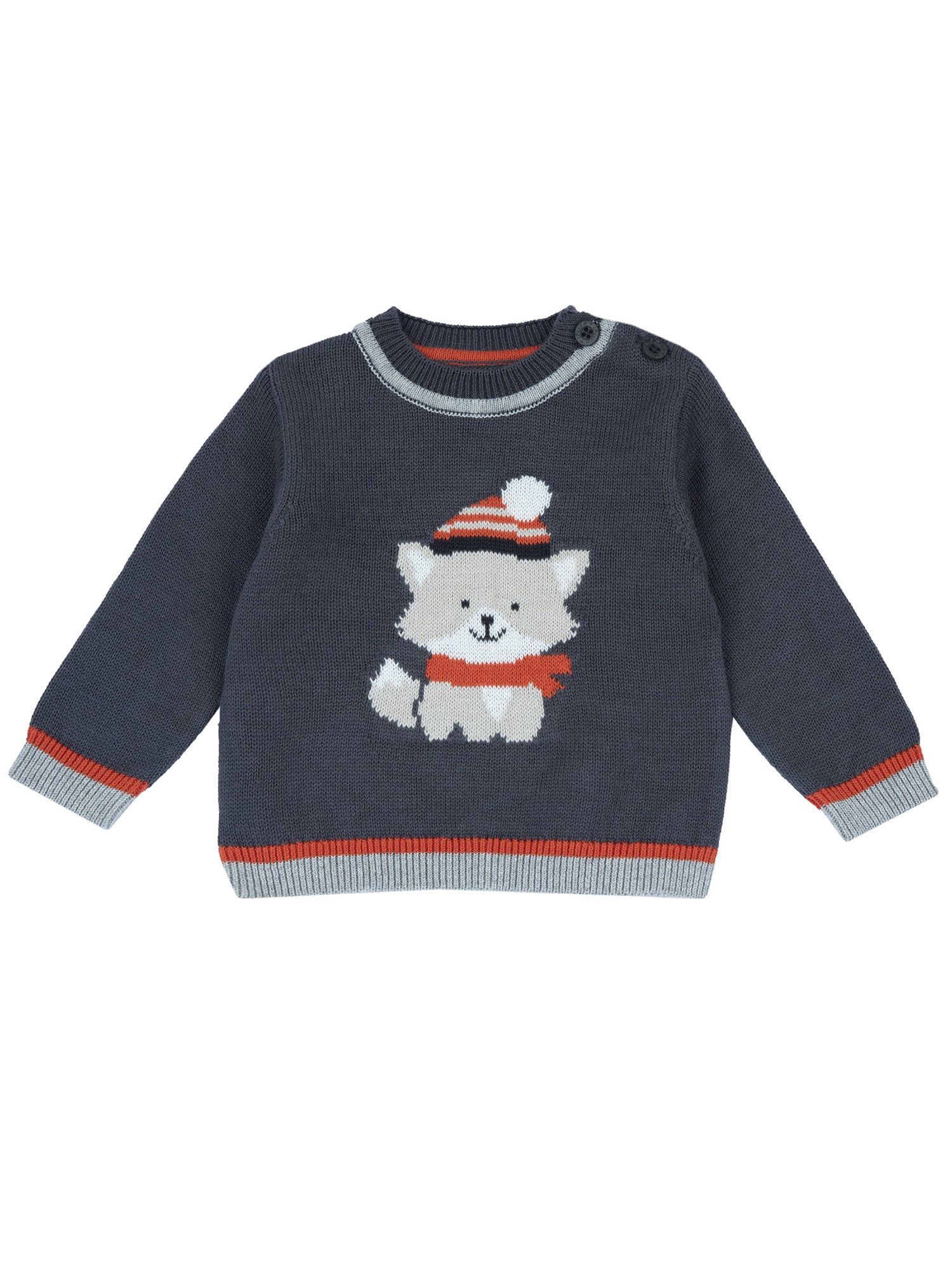 Maglioncini Blu Chicco