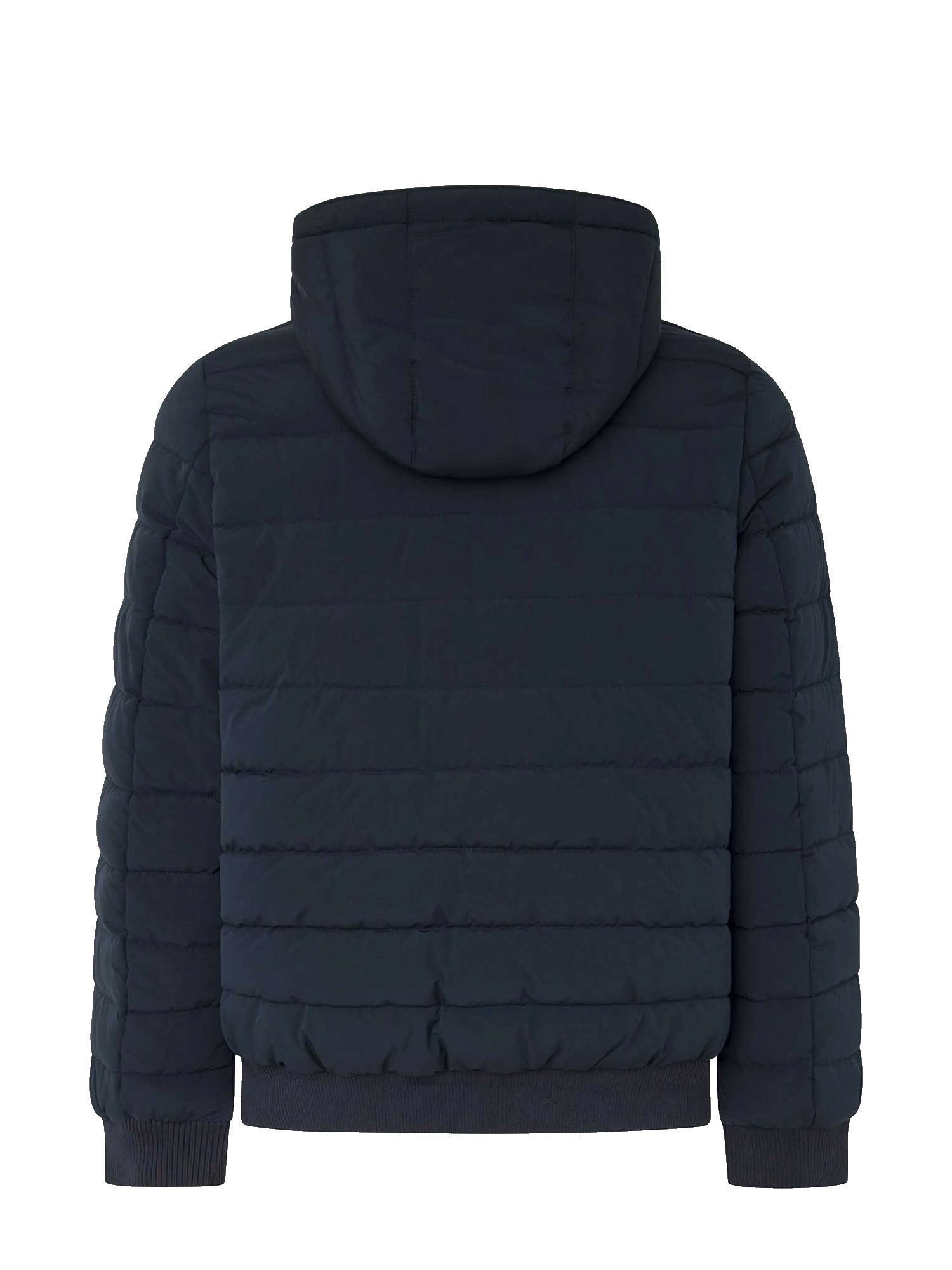 Piumini Blu Pepe Jeans