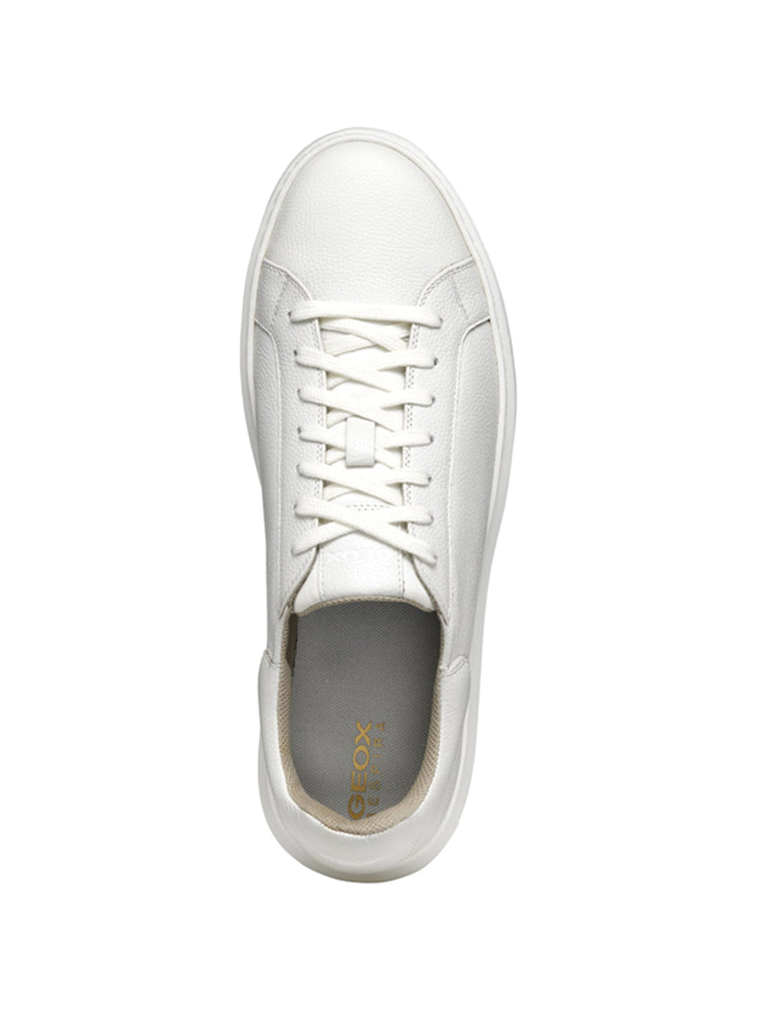 Sneakers Bianco Geox