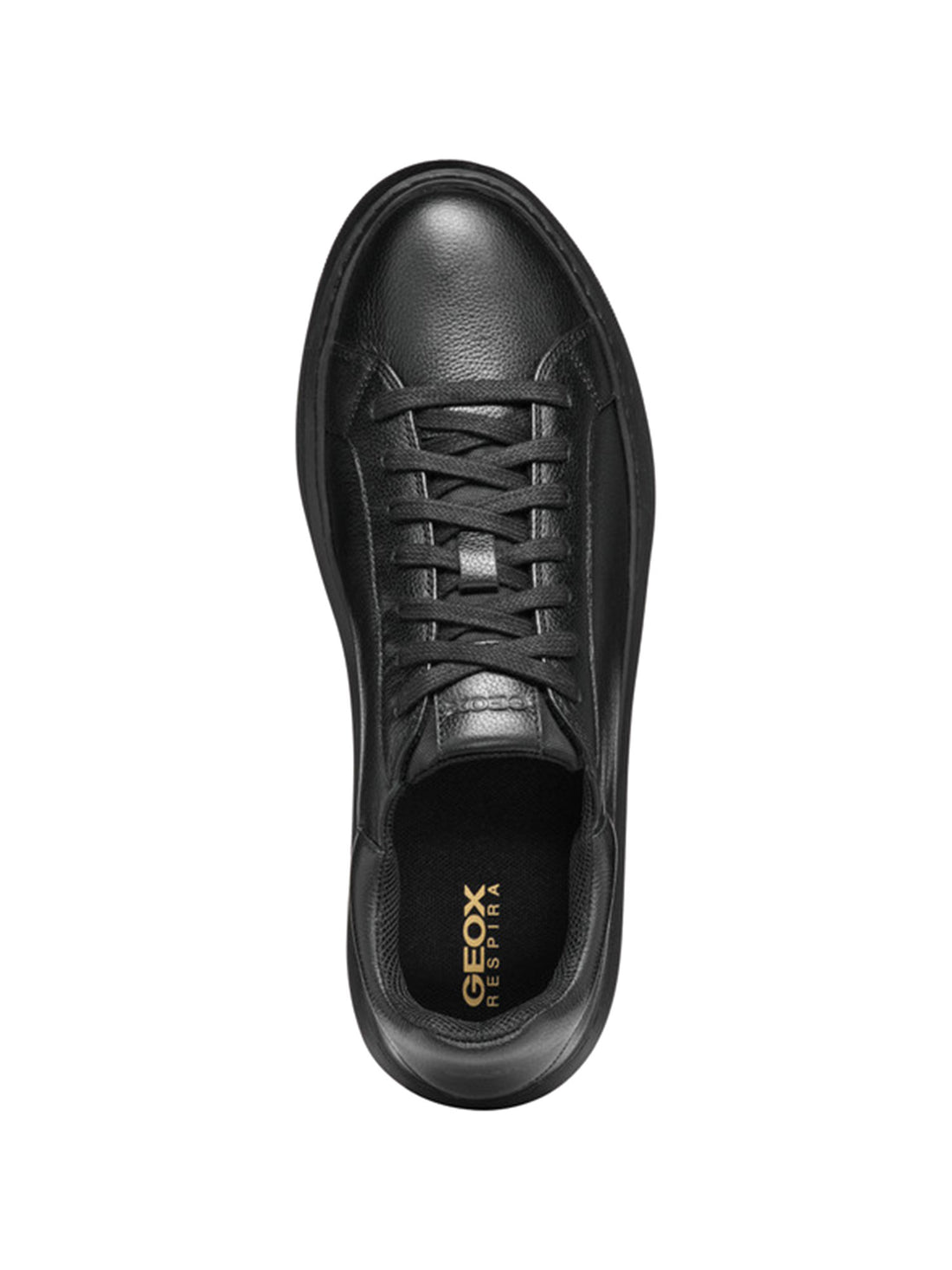 Sneakers Nero Geox