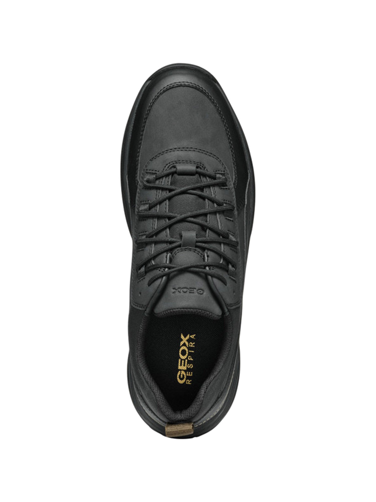 Sneakers Nero Geox