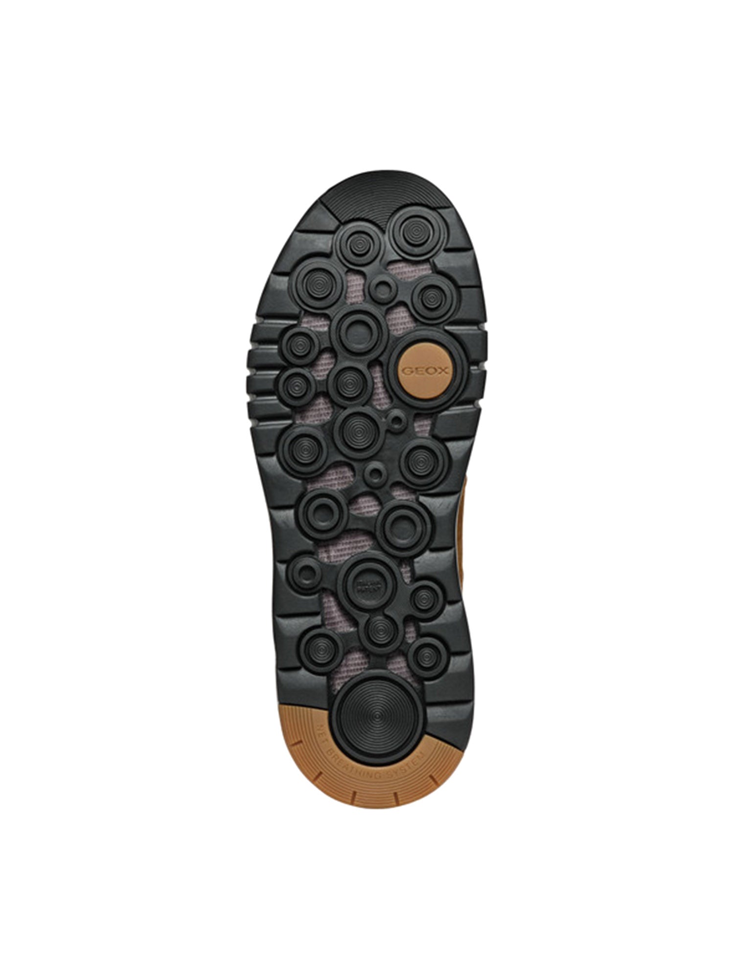 Sneakers Marrone Geox