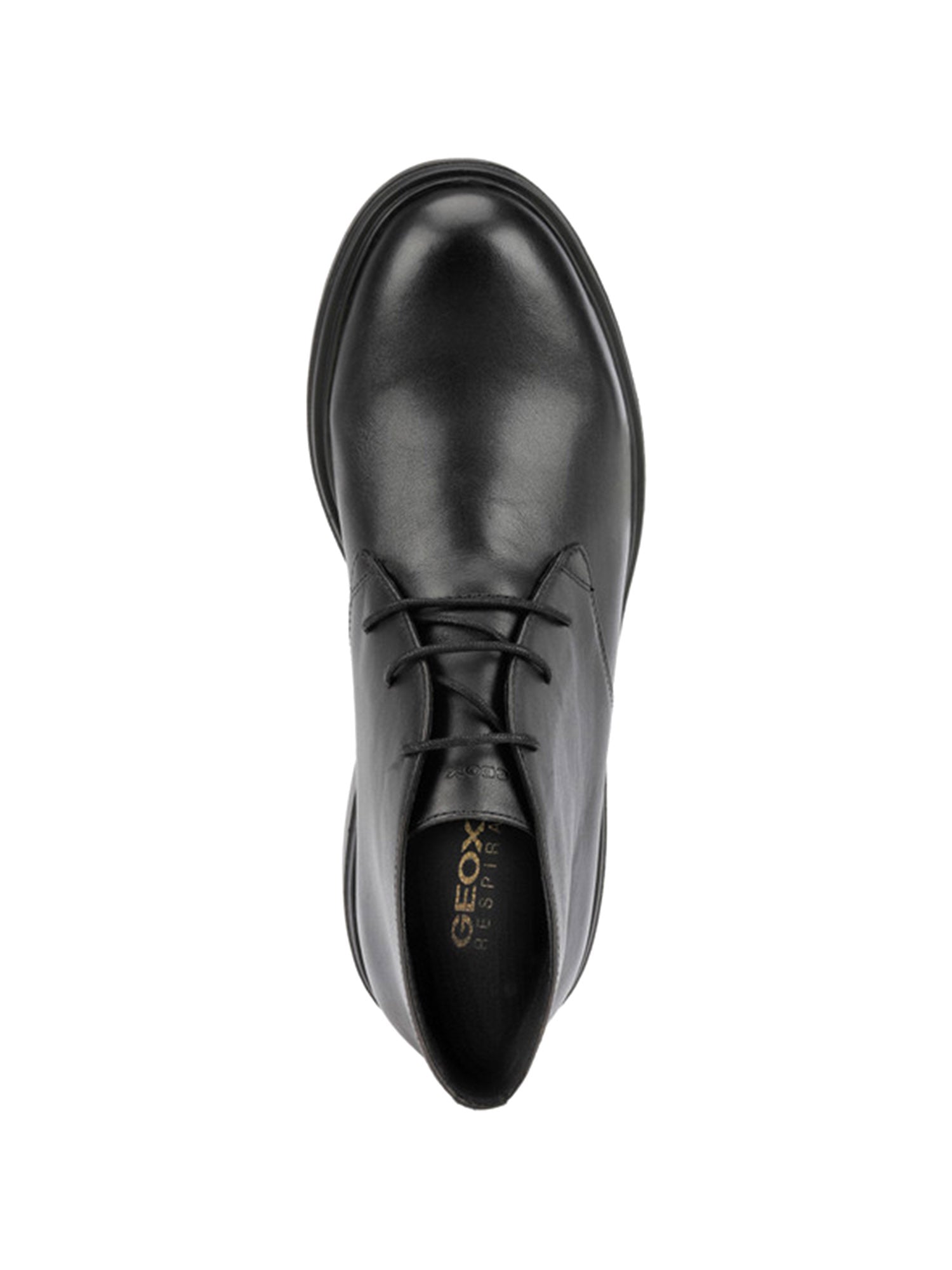 Polacchino Nero Geox