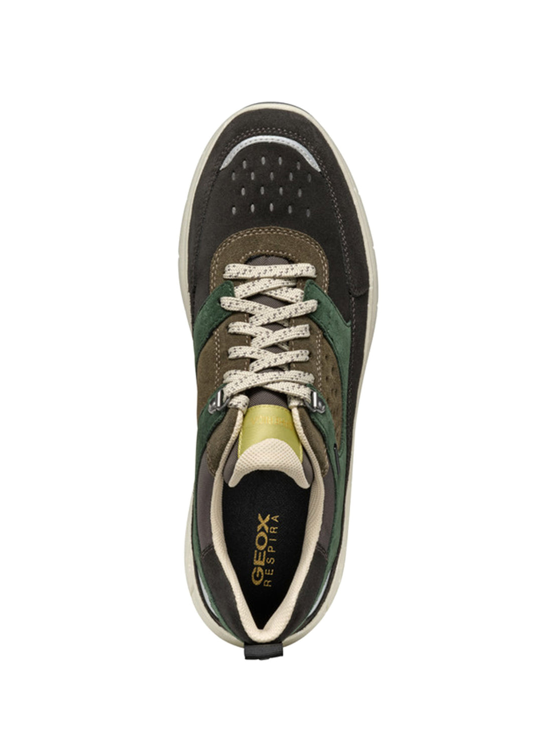 Sneakers Verde Geox