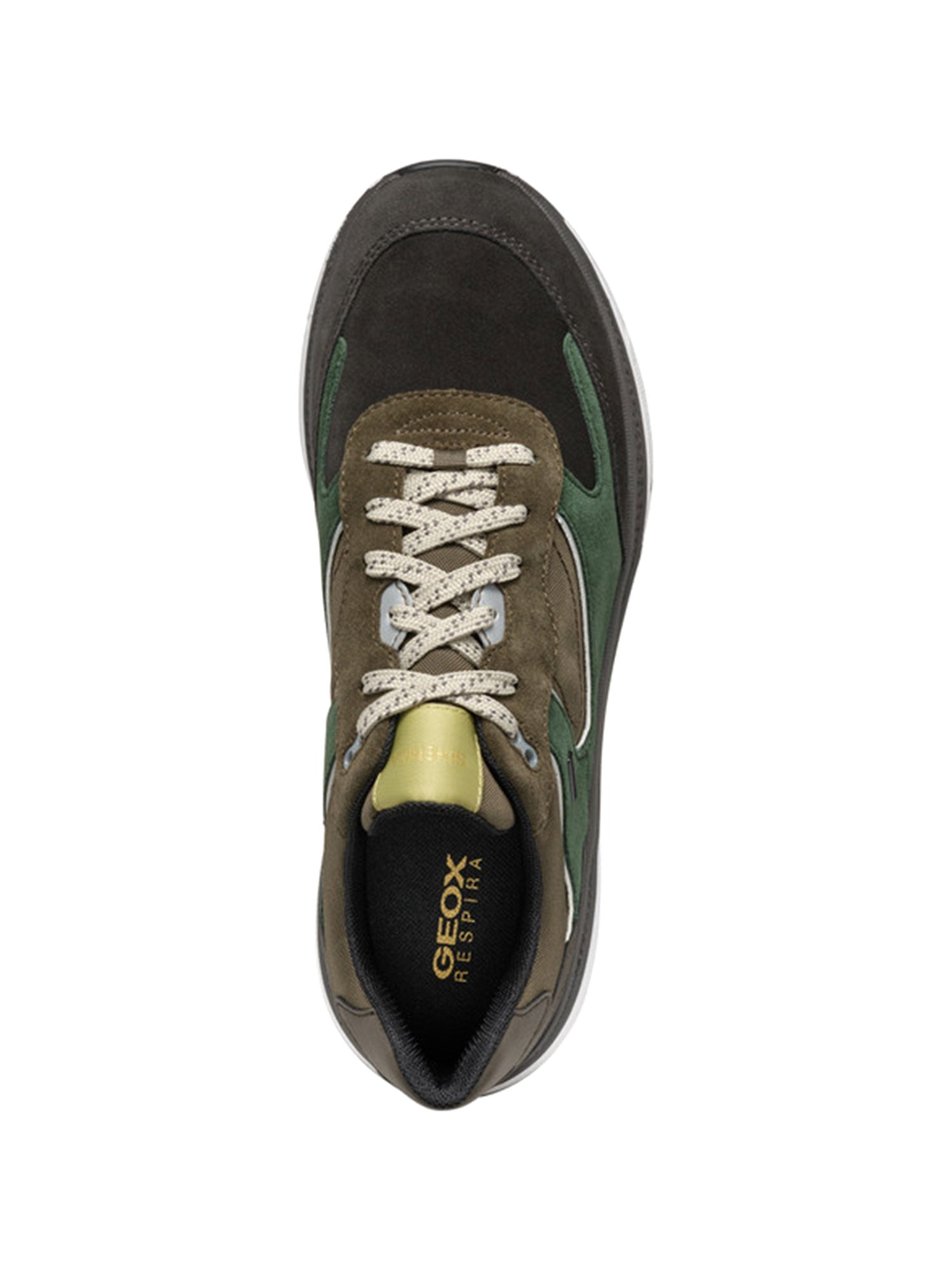 Sneakers Verde Geox