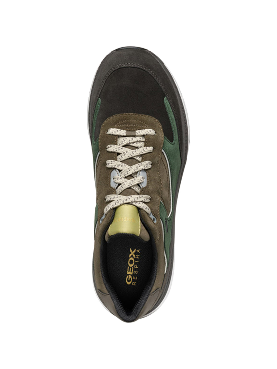 Sneakers Verde Geox