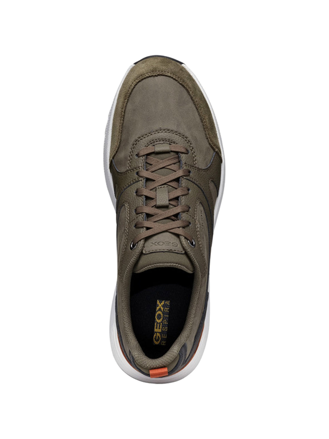 Sneakers Verde Geox