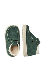 Polacchino Verde Falcotto