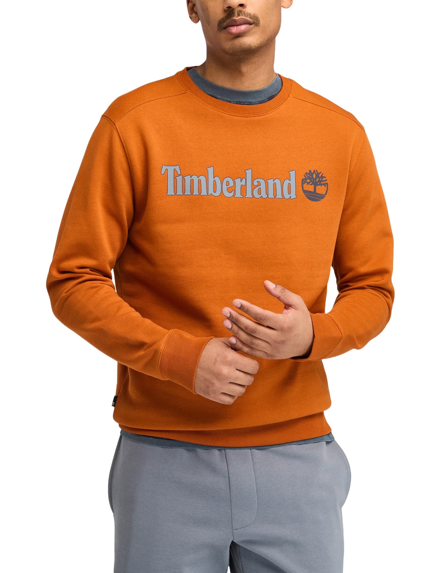 Felpe Arancio Timberland