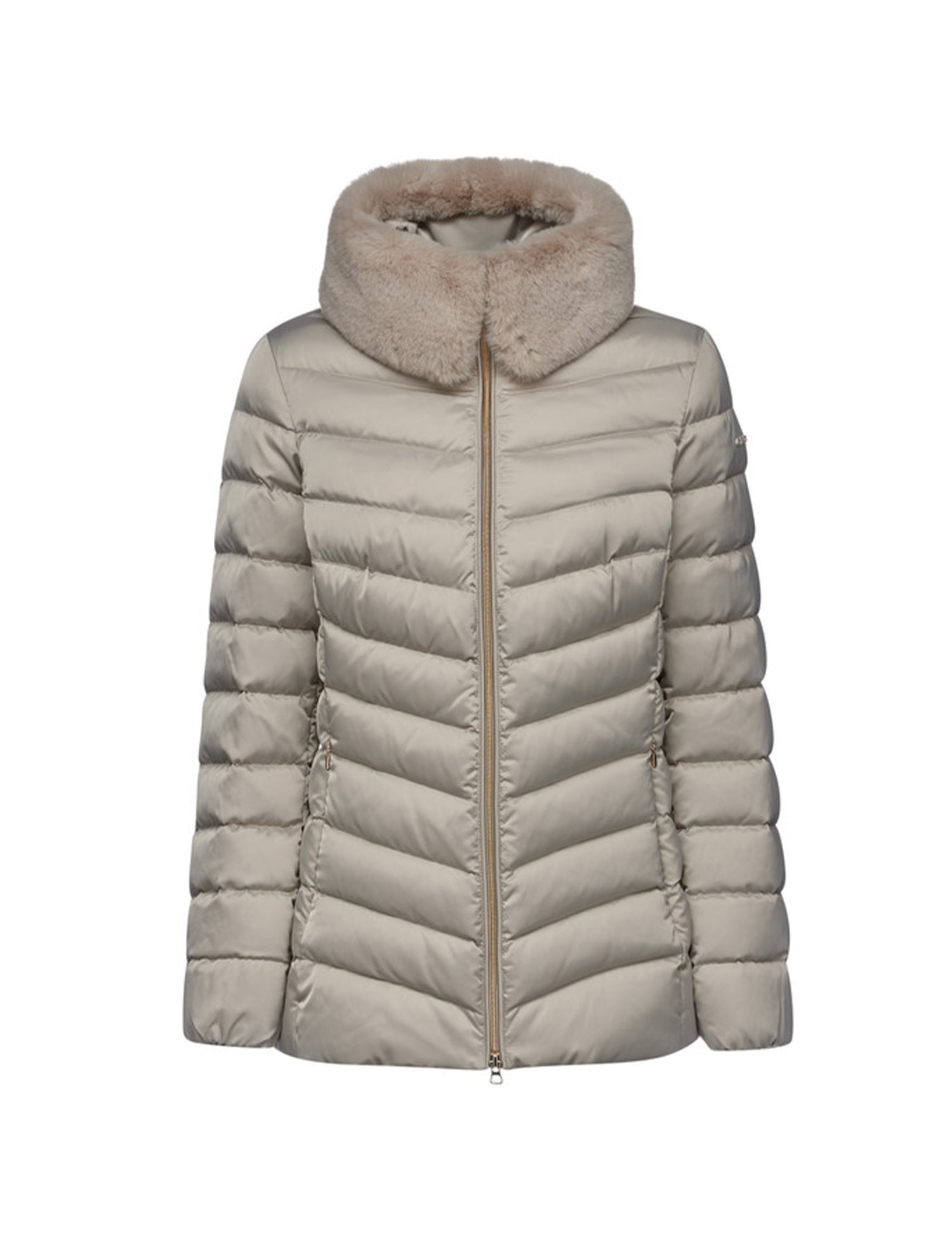 Piumini Tortora Geox