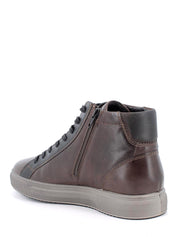 Sneakers Marrone Igi&co