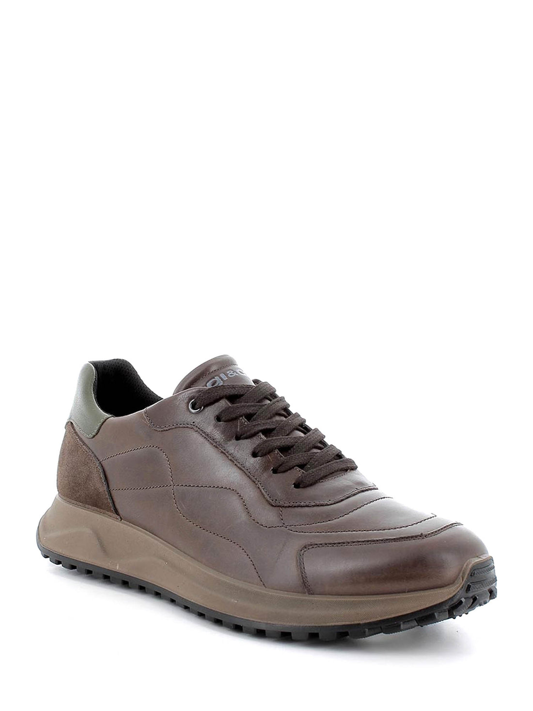 Sneakers Marrone Igi&co