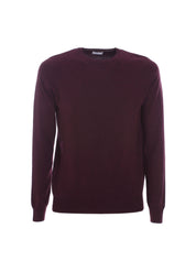 Maglioncini Bordeaux Sseinse