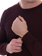 Maglioncini Bordeaux Sseinse