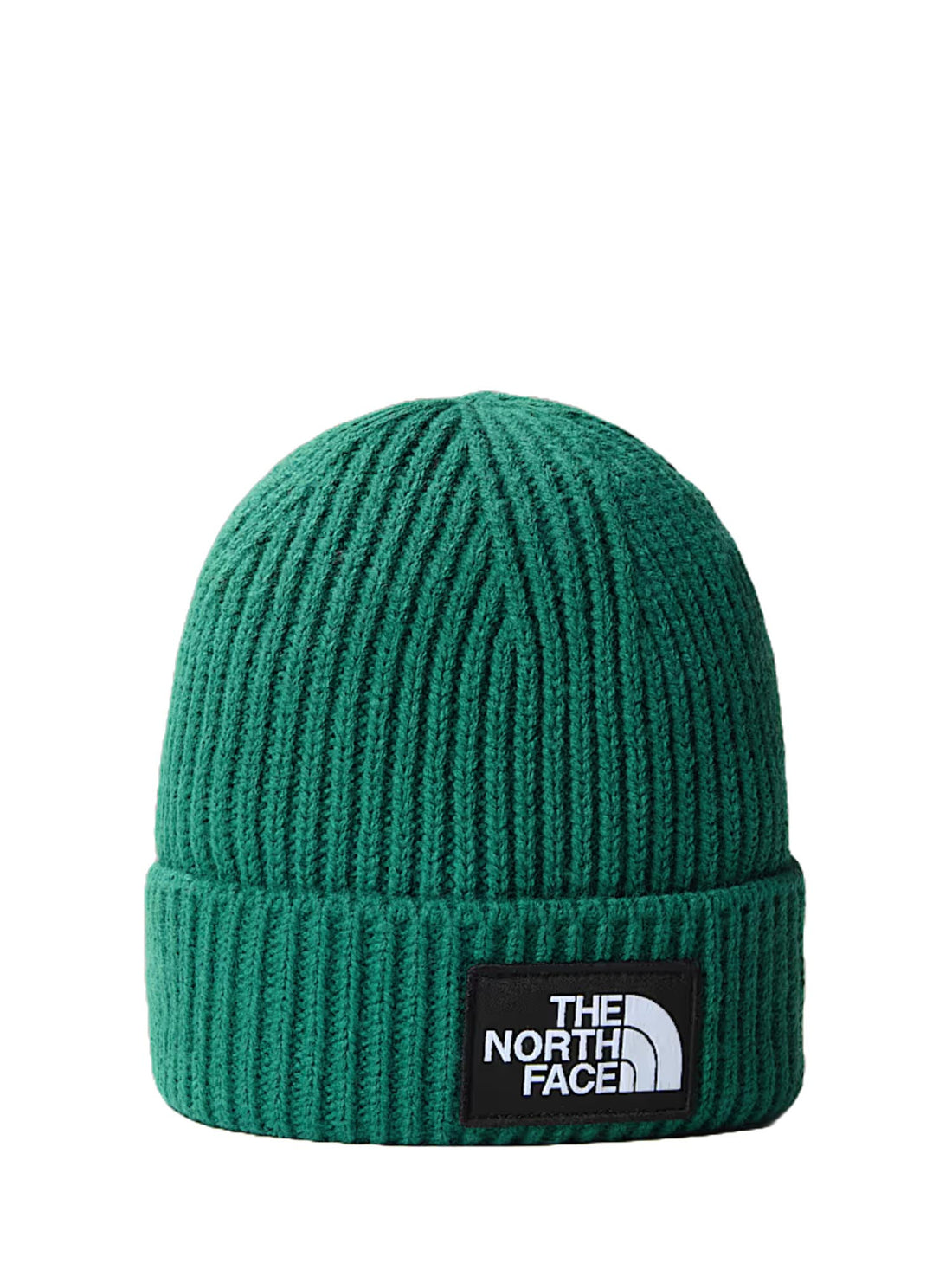 Cappelli Verde The North Face