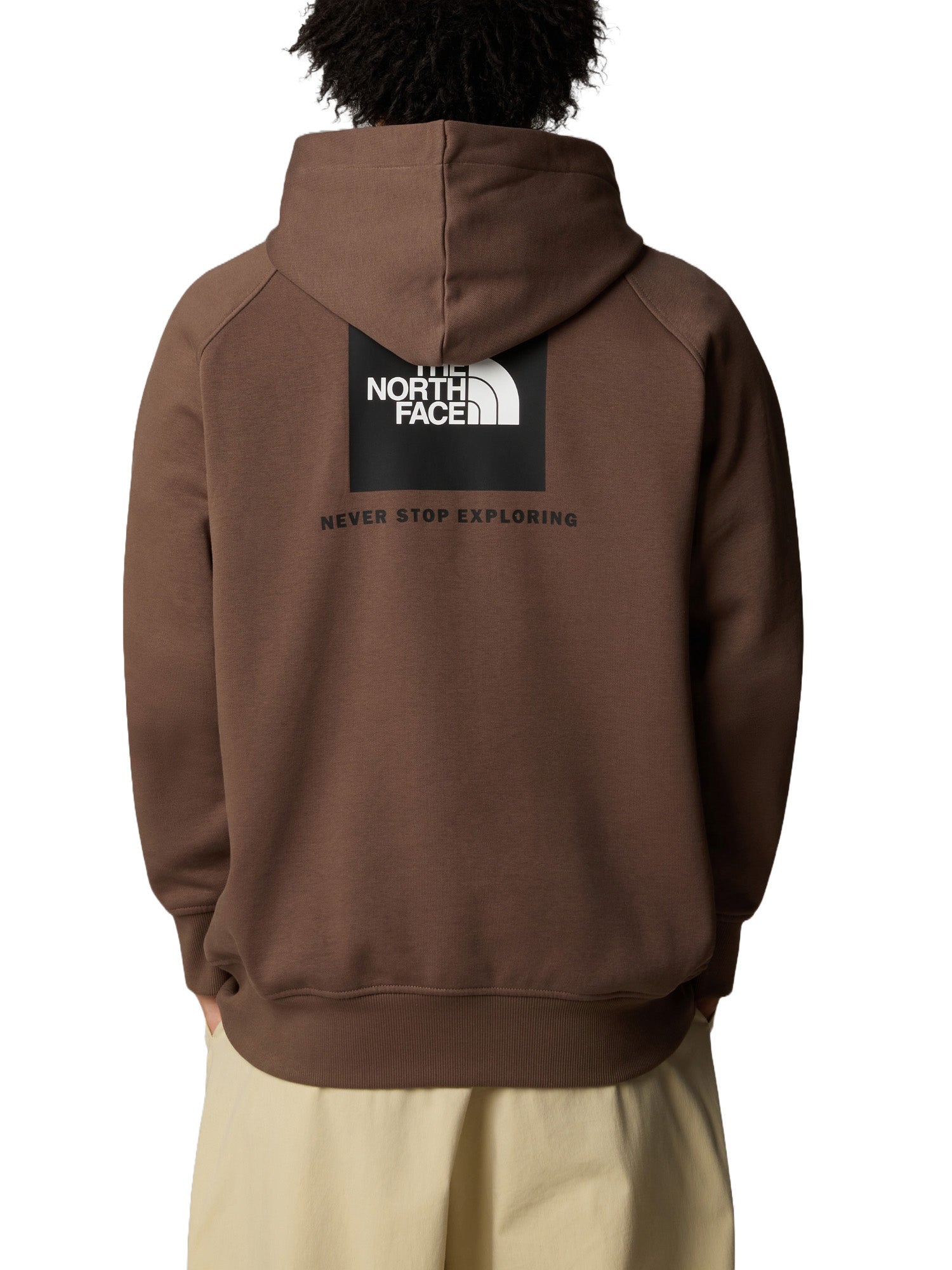 Felpe Marrone The North Face