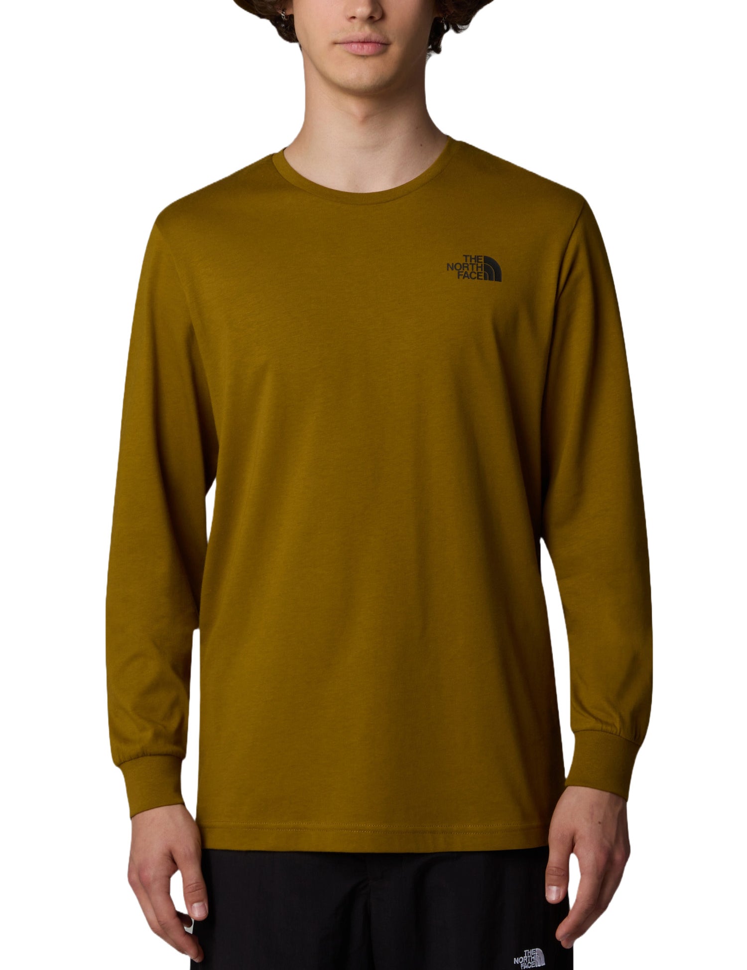 T-shirt Marrone The North Face