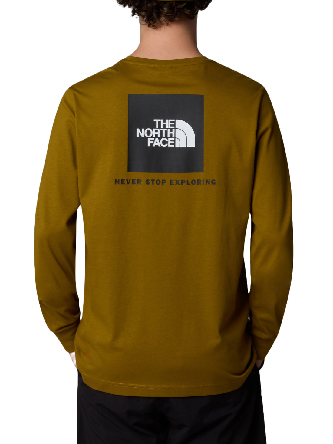 T-shirt Marrone The North Face