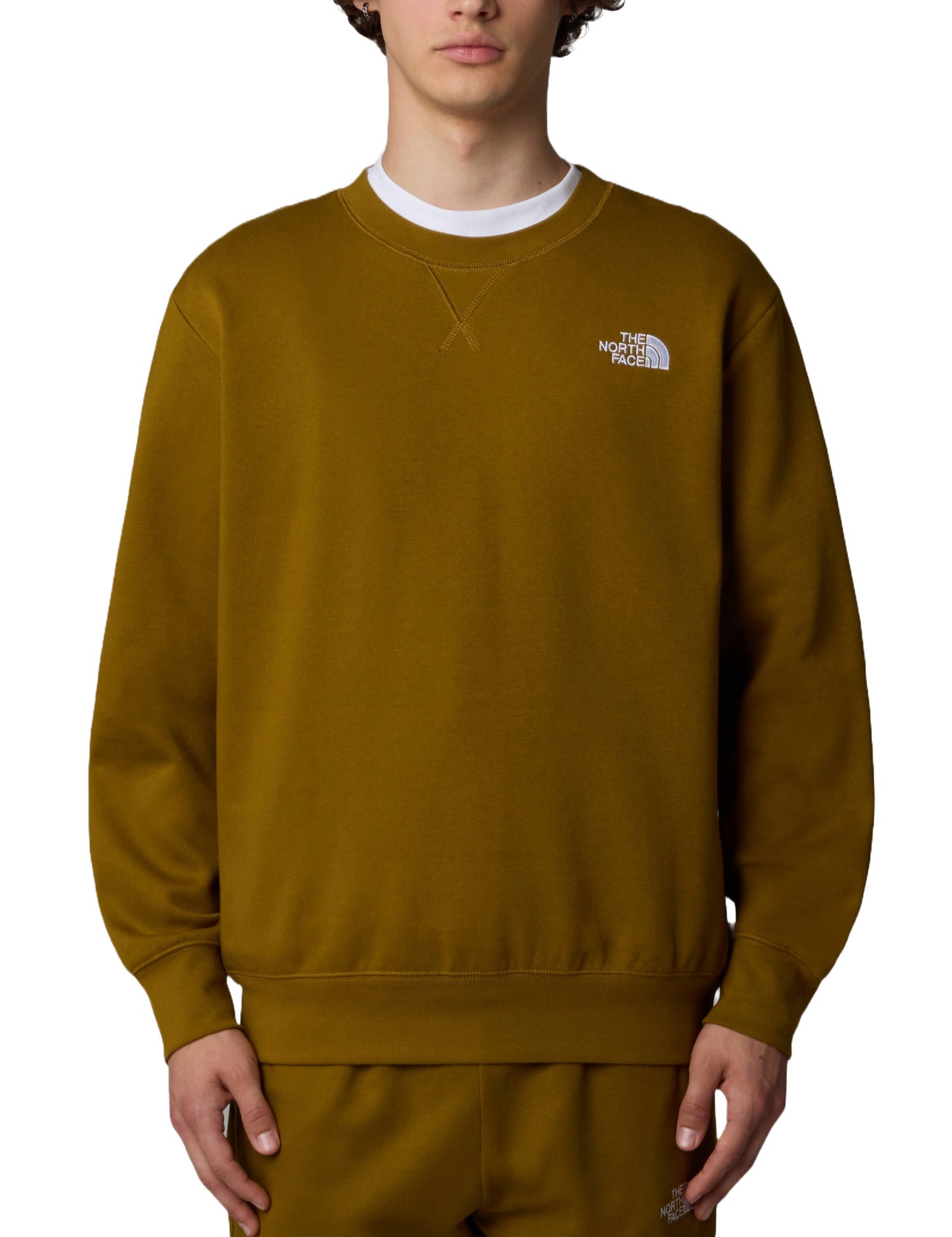 Felpe Marrone The North Face