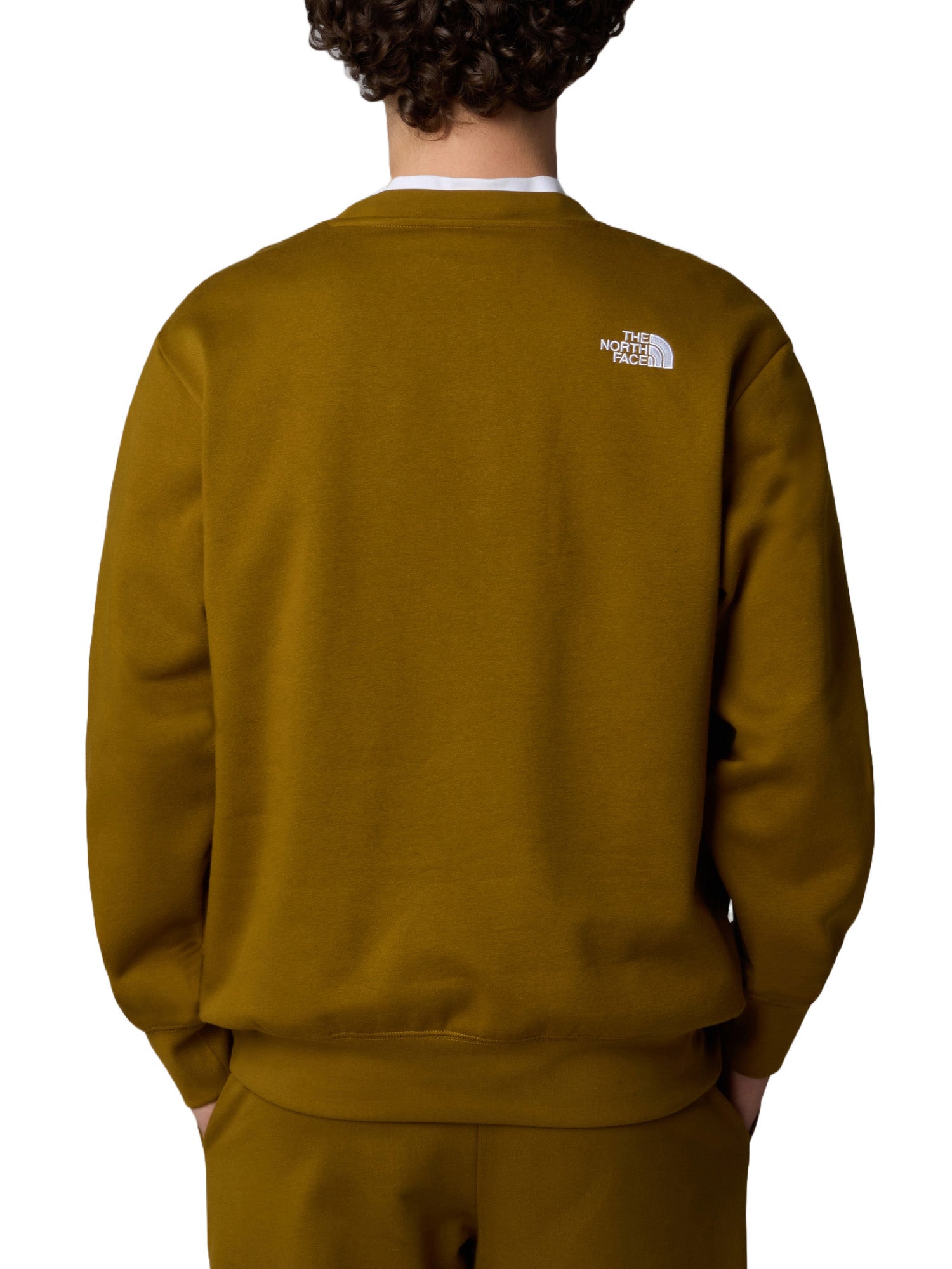 Felpe Marrone The North Face