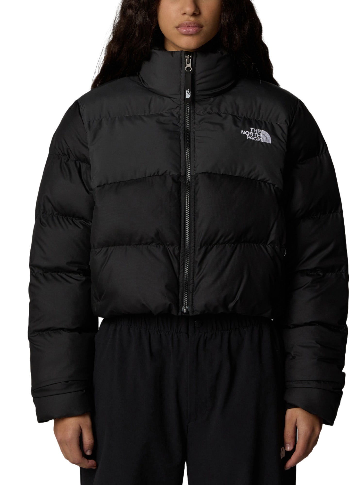 Piumini Nero The North Face