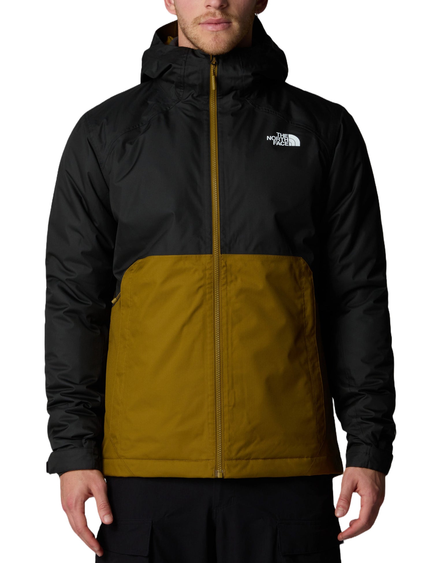 Giacche Verde The North Face