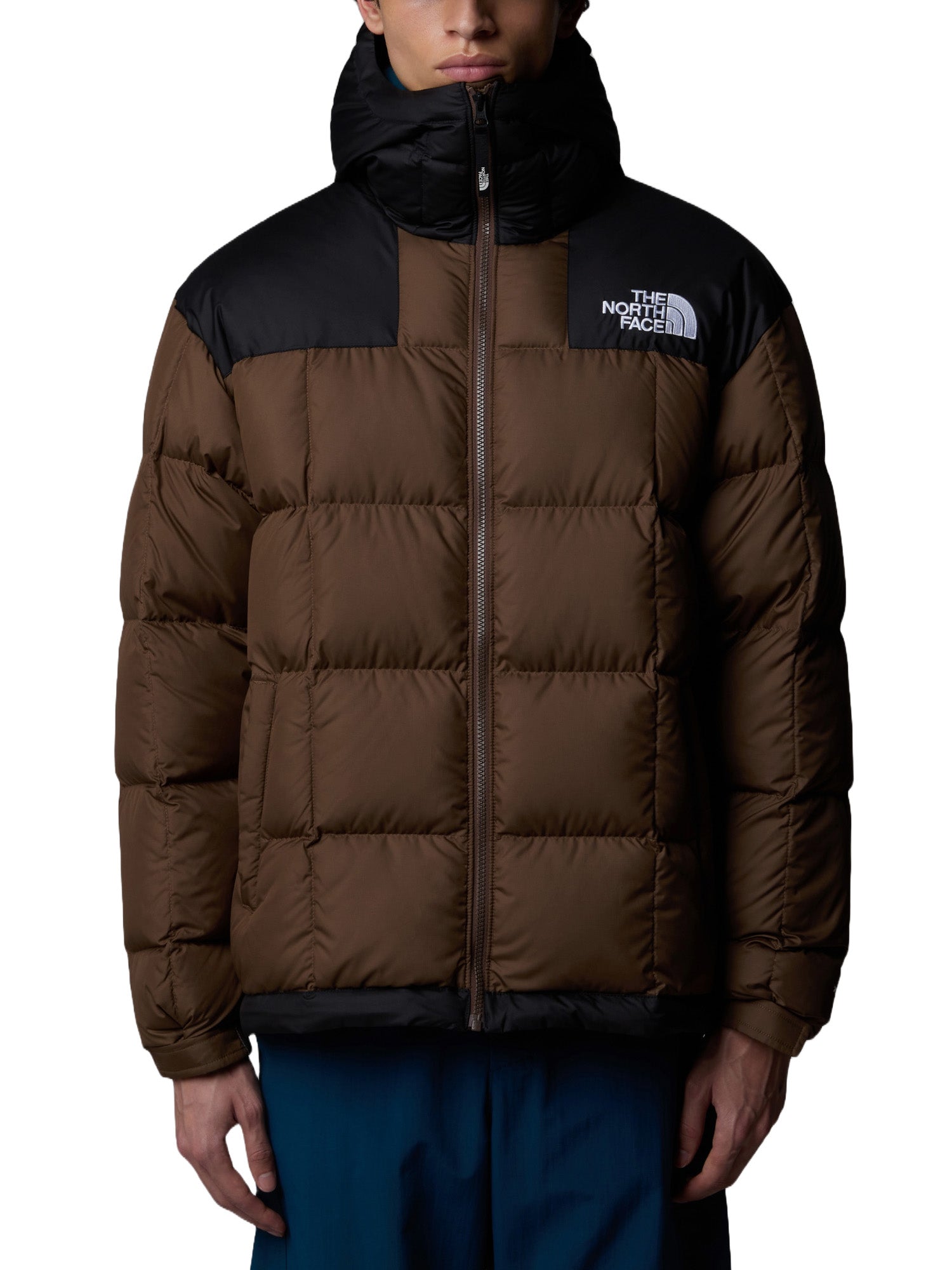 Piumini Marrone The North Face