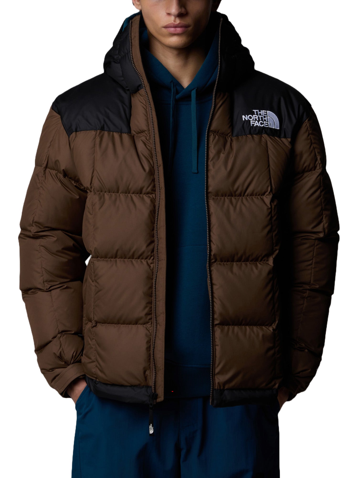 Piumini Marrone The North Face