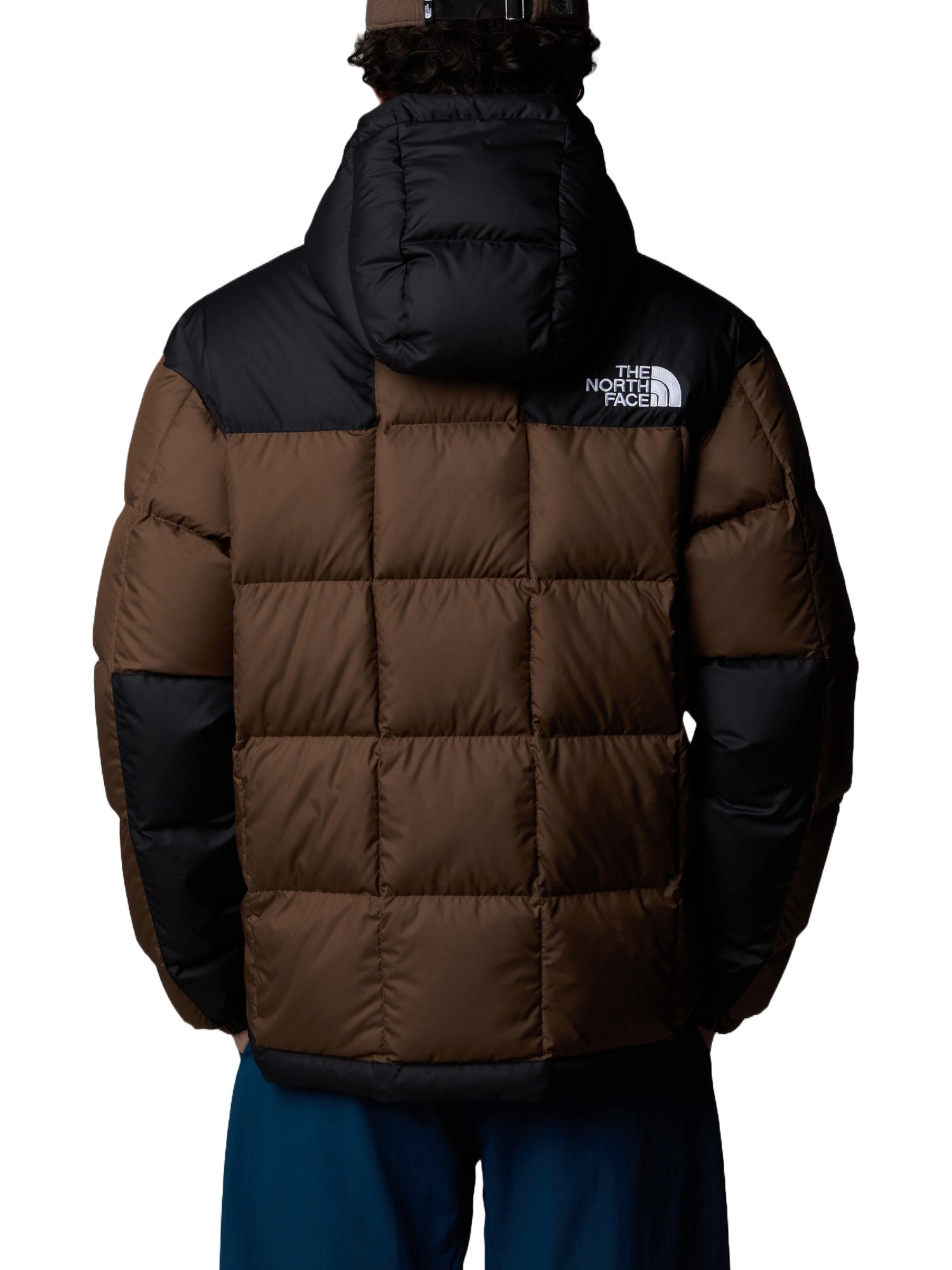 Piumini Marrone The North Face