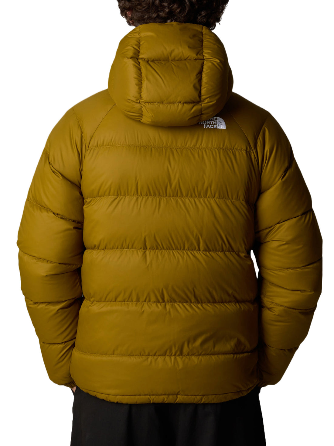 Piumini Marrone The North Face