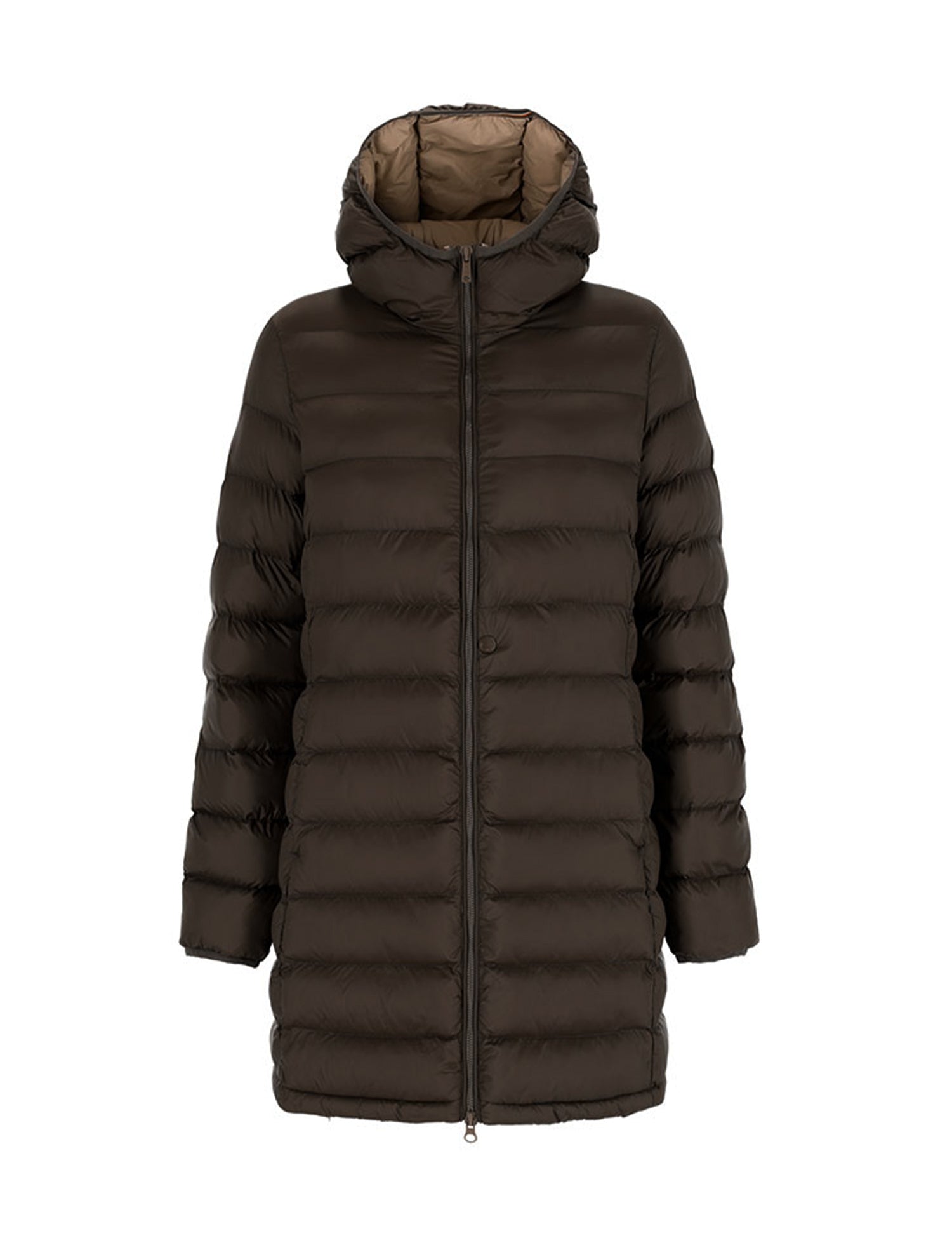 Piumini Marrone Conte Of Florence