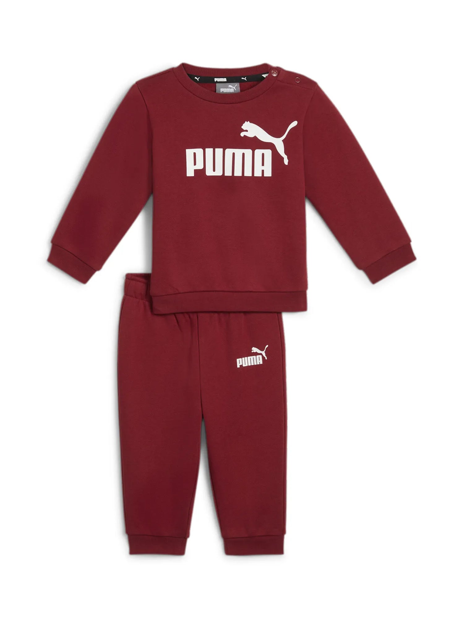Completi Bordeaux Puma