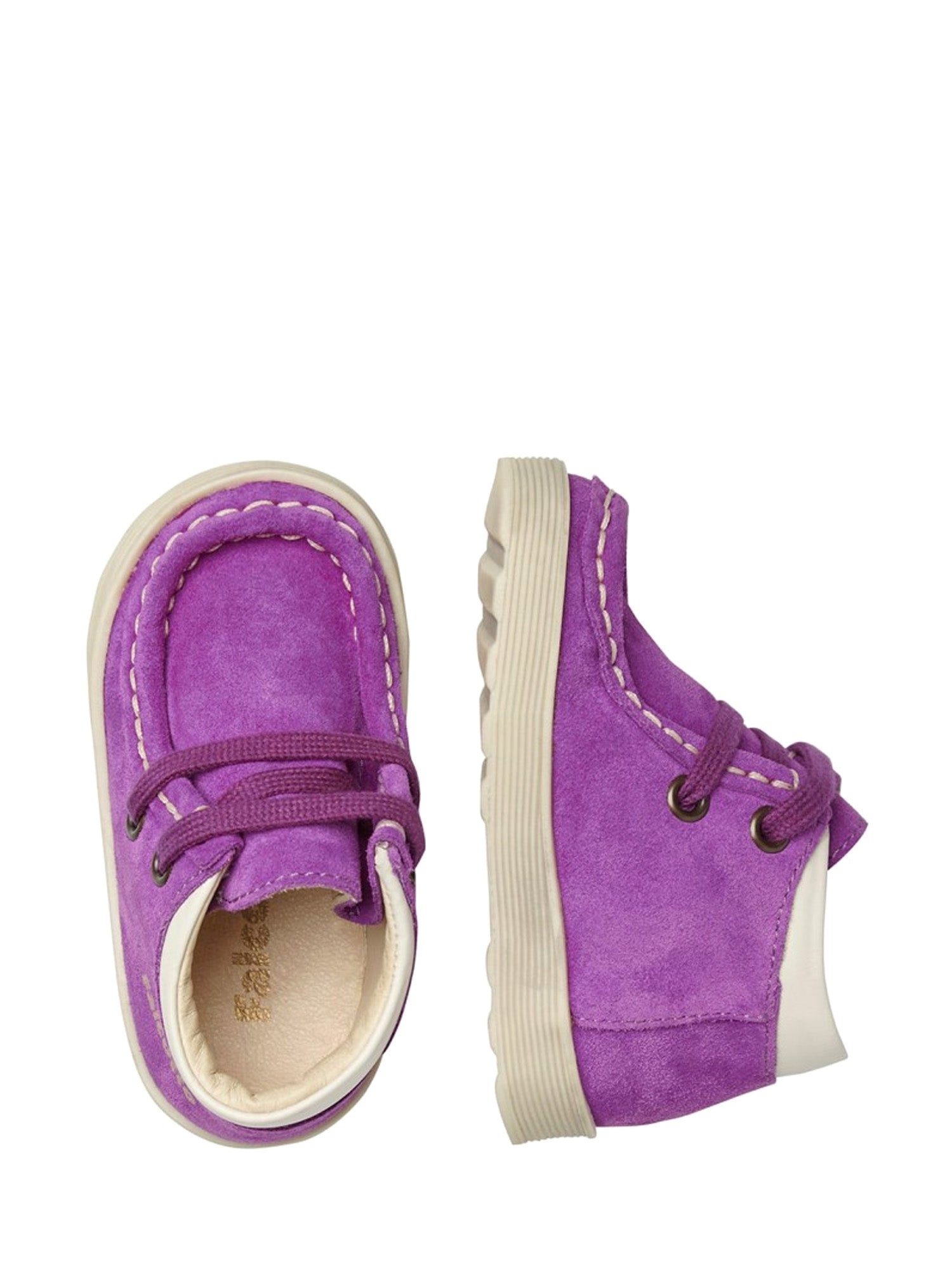 Polacchino Viola Falcotto