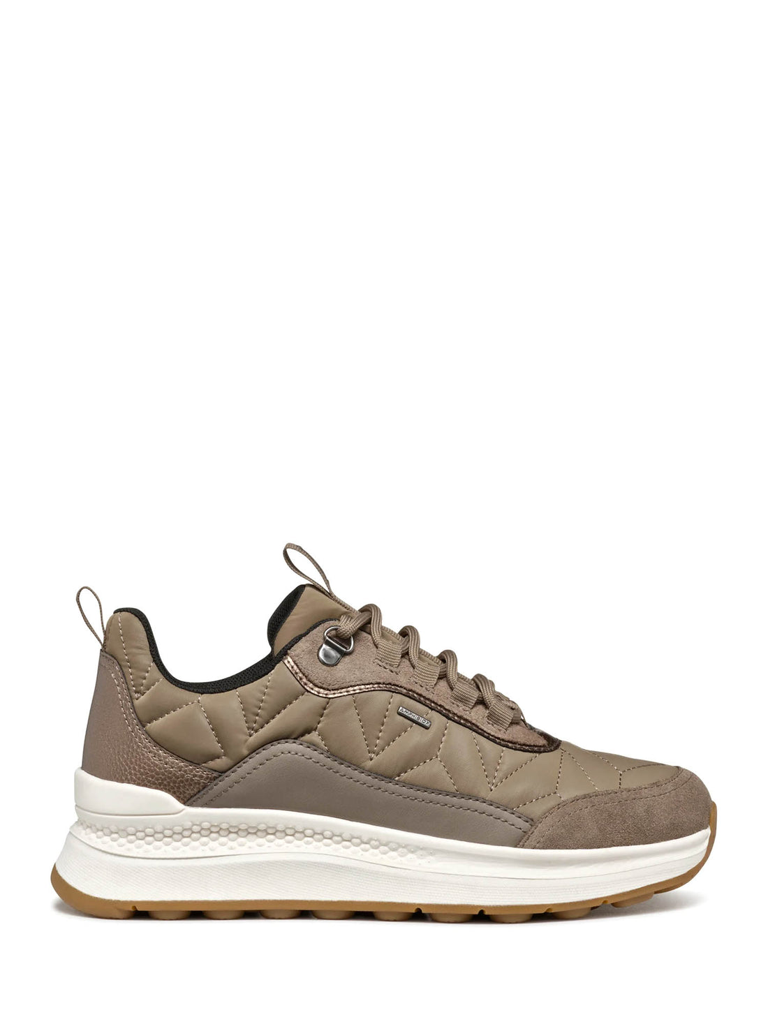 Sneakers Tortora Geox